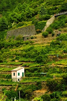 Images Dated 16th September 2010: Europe, Italy