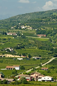 Images Dated 23rd September 2010: Europe, Italy