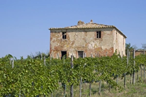 Images Dated 28th September 2006: Europe, Italy