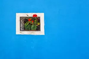 Iron Prints: Europe, Italy, Burano. Window of colorful house