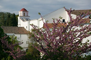Images Dated 7th May 2005: Europe, Italy, Campania, (Amalfi Coast), Ravello: Villa Cimbrone- Gardens with Spring