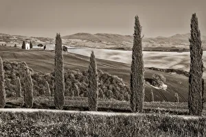 Bucolic Prints: Europe, Italy, Cappella Vitaleta