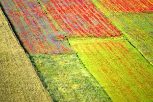 Umbria Prints: Europe, Italy, Castellucio. Aerial of field with flower patterns
