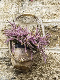 Images Dated 5th August 2020: Europe, Italy, Chianti. Basket of flowers hanging on a stone wall