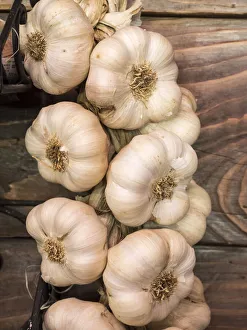 Images Dated 5th August 2020: Europe, Italy, Chianti. Garlic hanging in a meat shop in the town of Radda in Chianti