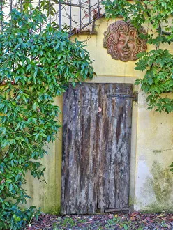 Pottery Prints: Europe, Italy, Chianti. Old wooden door beneath a stairway with climbing vines