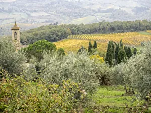 Images Dated 5th August 2020: Europe, Italy, Chianti. Pieve di Santa Maria Novella near Radda in Chianti