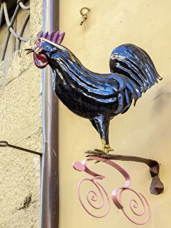 Europe Collection: Europe, Italy, Chianti. Rooster with glasses above a shop in Radda in Chianti