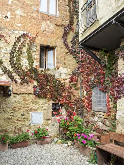 Images Dated 5th August 2020: Europe, Italy, Chianti. Back street alleyway with fall colored climbing vine on the wall