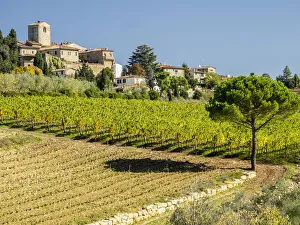 Images Dated 5th August 2020: Europe, Italy, Chianti. Tuscan homes in the town of Panzano with vineyard below