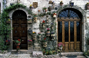 Planter Prints: Europe, Italy, Cinque Terre. Monterosso doors