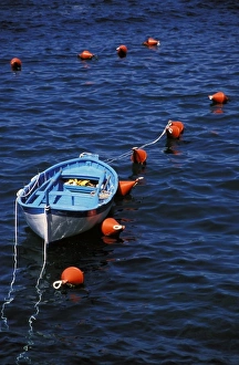 Row Boat Prints: Europe, Italy, Cinque Terre. Rowboat and buoys