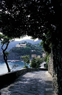 Walk Way Prints: Europe, Italy, Cinque Terre, Vernazza, Monterosso. Shaded stone path