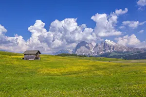 South Tyrol Prints: Europe, Italy, Dolomites, South Tyrol. Mountains and hut in meadow