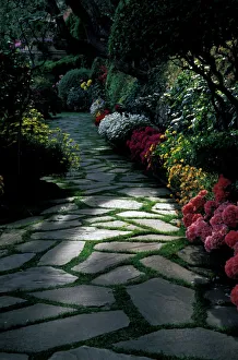 Path Prints: Europe, Italy, Liguria, Portofino. Flowered path along Hotel Splendido
