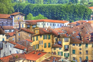 Beautiful Prints: Europe; Italy; Lucca; Roof Tops of Lucca