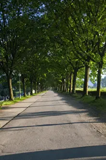 Europe; Italy; Lucca; Walkway Along the Wall Surounding Lucca