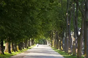 Europe; Italy; Lucca; Walkway Along the Wall Surounding Lucca