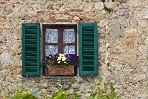 Images Dated 21st May 2010: Europe; Italy; Monteriggoni; Flower Box full of Spring Flowers and Window Shutter