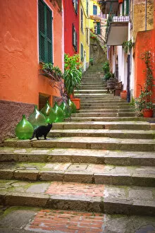Europe Gallery: Europe, Italy, Monterosso. Cat on long stairway