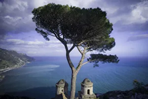 Europe, Italy, Ravello. Cypress tree and church domes overlook ocean