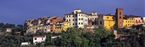 Hill Top Prints: Europe, Italy, Santa Maria al Monte. The dawn light washes over the pastel-painted