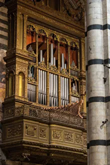 Catholic Prints: Europe, Italy, Siena. Duomo organ