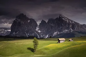 Dolomite Prints: Europe, Italy, South Tirol. Alpine meadows with the Sasso Lungo