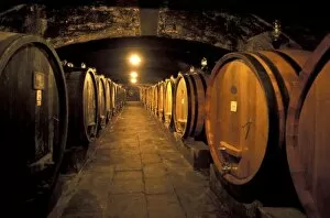 Images Dated 19th March 2004: Europe, Italy, Toscana region. Chianti cellars