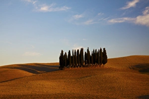 Strength Prints: Europe; Italy; Tuscany