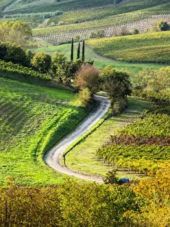 Italy Prints: Europe; Italy; Tuscany; Chianti; Autumn; Road running through vineyards