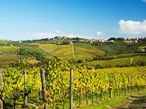 Italy Prints: Europe; Italy; Tuscany; Chianti; Panzano; Autumn Vinyards with Bright Color Near Panzano