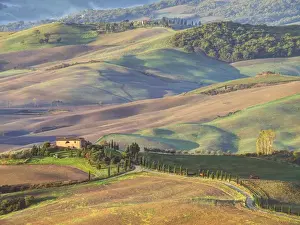 Winding Prints: Europe, Italy, Tuscany. Evening light on a winding road leading to a villa near