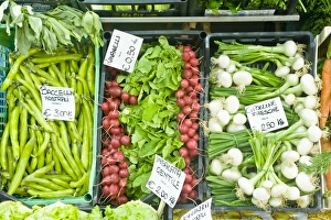 Europe, Italy, Tuscany, Florence, Vegetales For Sale at Market