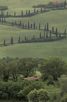 Winding Road Prints: Europe, Italy, Tuscany, La Foce Curvy dirt Tuscan road (Pienza area)