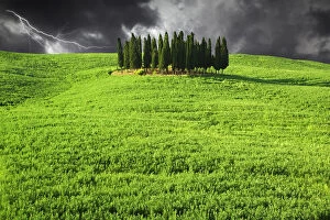Images Dated 25th May 2006: Europe, Italy, Tuscany. Lightning behind cypress trees on hill