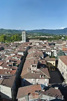 Historic District Prints: Europe, Italy, Tuscany, Lucca Town from the Clock Tower (Torre delle Ore)