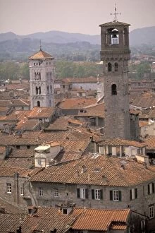 Europe, Italy, Tuscany, Lucca, Town panorama from tower; Casa dei Guinigi; Lucca rooftops