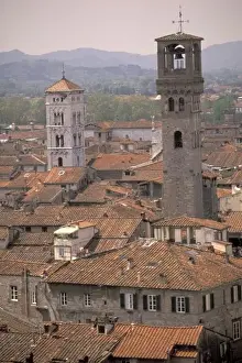 Look Out Prints: Europe, Italy, Tuscany, Lucca, Town panorama from tower; Casa dei Guinigi; Lucca rooftops