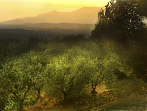 Images Dated 14th September 2015: Europe Italy Tuscany Marti Evening