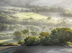 Italy Prints: Europe; Italy; Tuscany; Morning light over the fields of Winter Wheat above the Tuscan