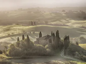 Farm Scene Prints: Europe; Italy; Tuscany; Morning light filters through the fog at Belvedere House