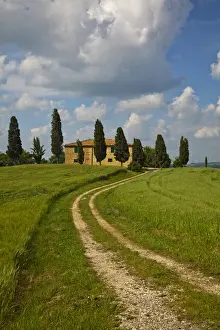 Europe; Italy; Tuscany; Pienza; Road Leading to Villa with Wheat Fields