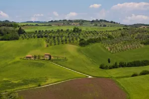 Rolling Prints: Europe; Italy; Tuscany; Pienza; Villa with Olive Groves and Wheat Fields