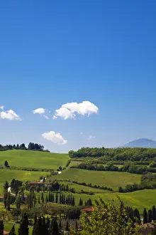 Images Dated 18th May 2010: Europe; Italy; Tuscany; Rolling Hills of Spring Wheat Fields