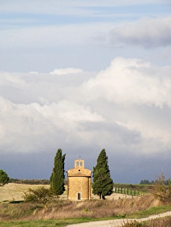Europe, Italy, Tuscany, San Quirico d Orcia. Road leading to the Vitaleta Chapel