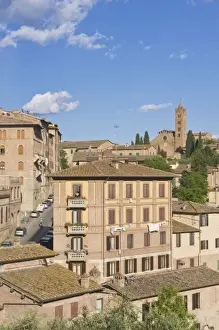 Siena Prints: Europe, Italy, Tuscany, Siena, Basilica di Santa Maria dei Servi
