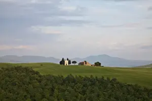 Europe; Italy; Tuscany; Spring Wheat Fields with The Famous Tuscan Chapel Madonna