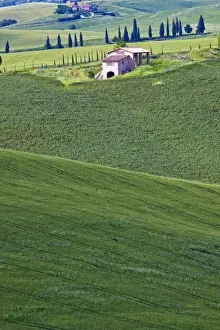 Images Dated 21st May 2010: Europe; Italy; Tuscany; Tuscan Green Rolling Hills