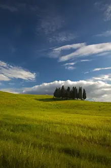 Images Dated 16th May 2010: Europe; Italy; Tuscany; Tuscan Hill Side Cypress Tree Grouping